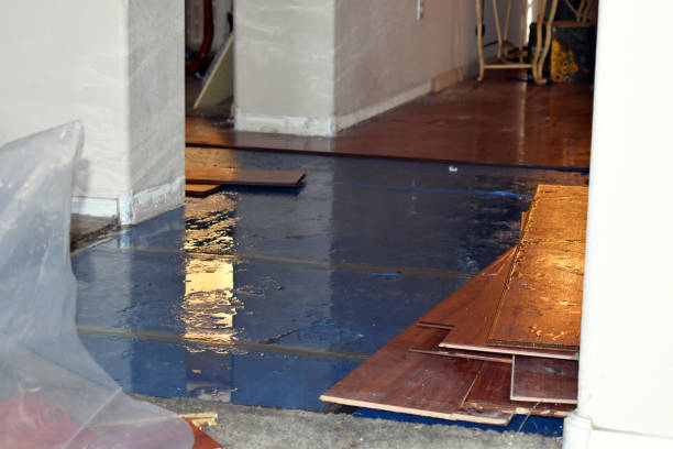 Professional Emergency Water Damage Restoration technician working in Waring, TX